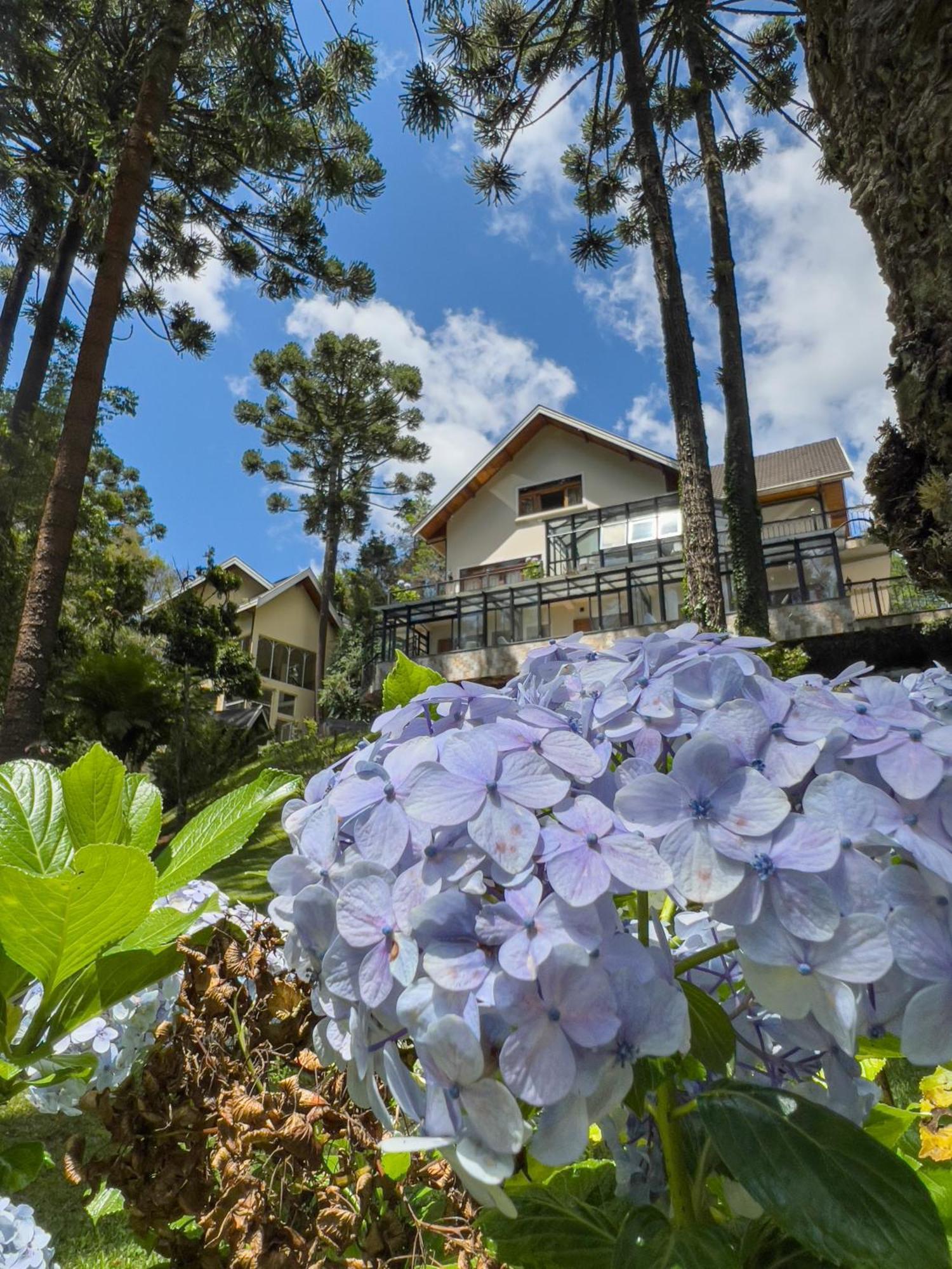 Araucaria Lodge Campos do Jordão Εξωτερικό φωτογραφία