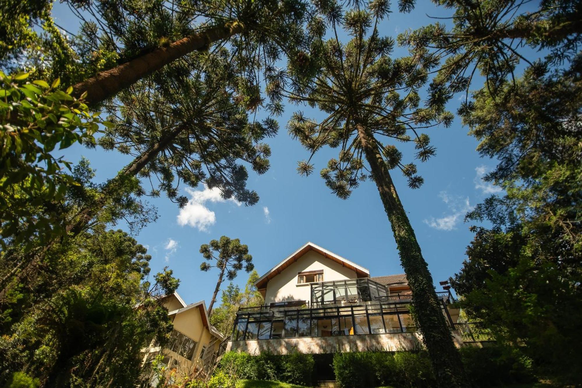Araucaria Lodge Campos do Jordão Εξωτερικό φωτογραφία
